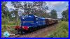 Steam-Locomotives-6029-3265-U0026-3001-Thirlmere-Festival-Of-Steam-May-2024-01-kd