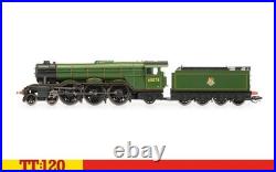 Steam Train Model Locomotive Class A3 Night Hawk 60078 BR Hornby 1120 Scale TT