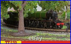 Steam Train Model Locomotive Class A3 Night Hawk 60078 BR Hornby 1120 Scale TT