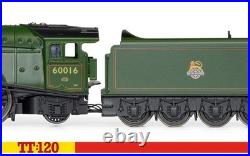 Steam Train Model Locomotive Class A4 Silver King 60016 BR Hornby 1120 Scale TT